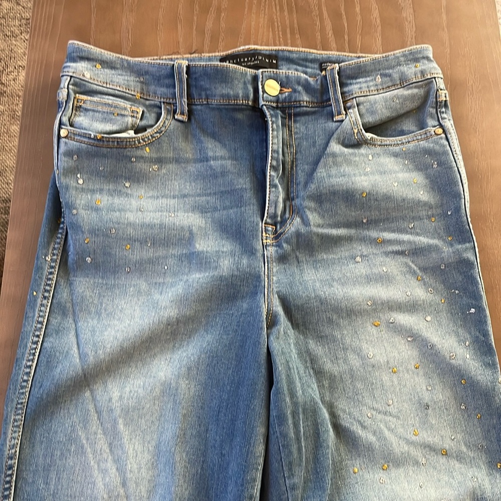 Sanctuary denim pants size 30 new